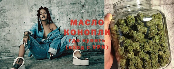 молекула духа Бородино