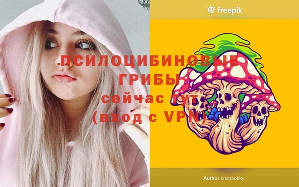 jwh Верхний Тагил