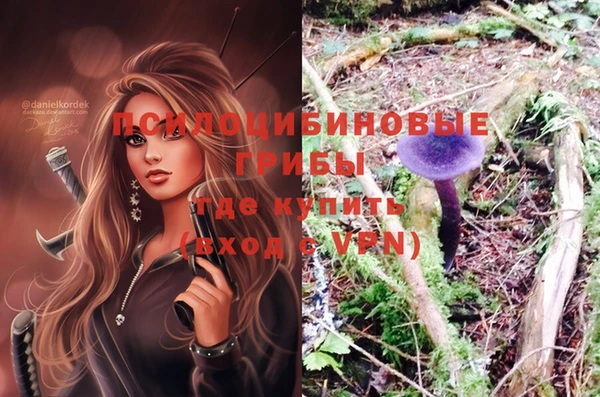 ешки Верея