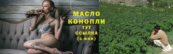 молекула духа Бородино