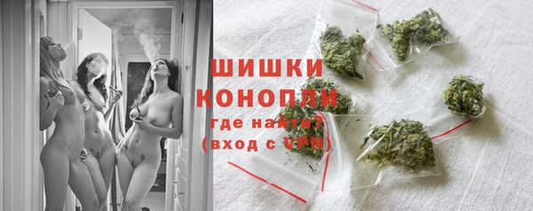 молекула духа Бородино